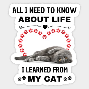 All I Need To Know About Life I Learned From My Cat Sticker